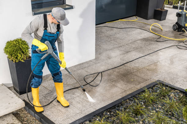 Best Affordable Pressure Washing  in Las Palmas Ii, TX