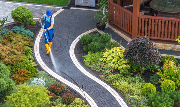 Best Pressure Washing Company Near Me  in Las Palmas Ii, TX