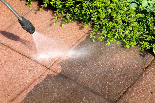 Best Concrete Pressure Washing  in Las Palmas Ii, TX